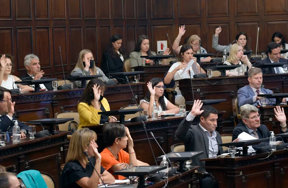 La Cámara de Diputados dio sanción final a la ley de Boleta Única Papel. Orlando Pelichotti / Los Andes


Foto: Orlando Pelichotti/ Los Andes