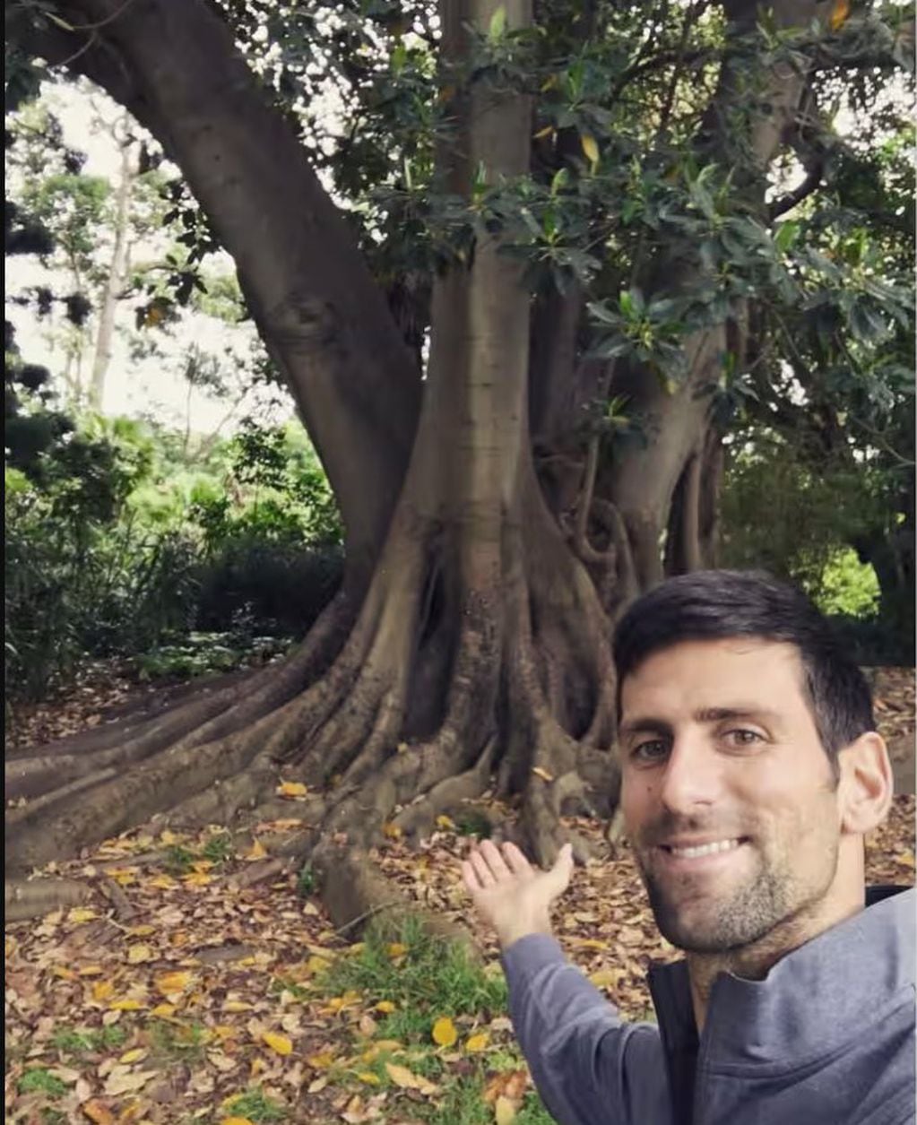 Djokovic con el árbol que le permite "ganar un grand slam"