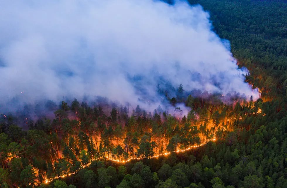Las llamas arrasaron con más de veinte millones de hectáreas. Los Andes