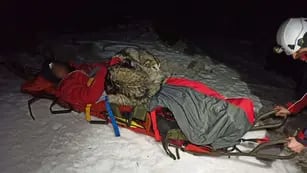 El animal, de raza Malamute de Alaska, se recostó sobre el cuerpo del joven para darle calor luego de que ambos cayeran por un barranco.
