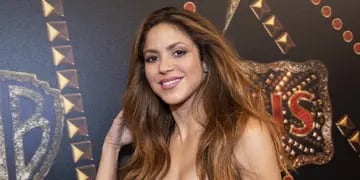 Cuál es la cartera favorita de Shakira y cuánto cuesta