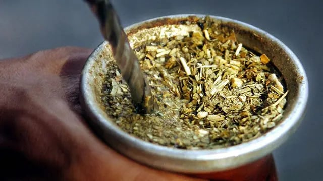 Se forma la Federación Internacional Sudamericana de Productores de Yerba Mate para proteger y promover el “oro verde”