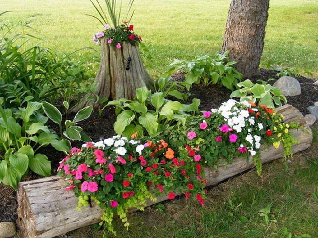 Una idea útil es sumar plantas herbáceas de estación en los canteros, para dar color y forma al jardín.