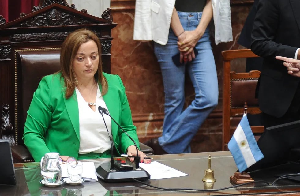 Cecilia Moreau durante la sesión en la cámara de diputados por el presupuesto 2023
Congreso
Foto Federico Lopez Claro