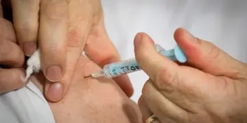 Vacuna