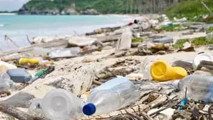 Invasión de plásticos en los mares
