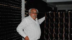 Ángel Mendoza: “Tener un viñedo orgánico será casi una obligación en el futuro”