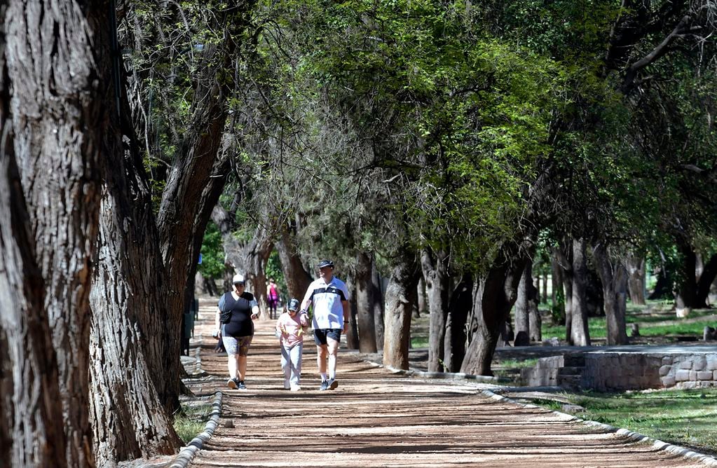 Parque General San Martín: el “gran pulmón verde” de Mendoza.
Foto: Orlando Pelichotti.