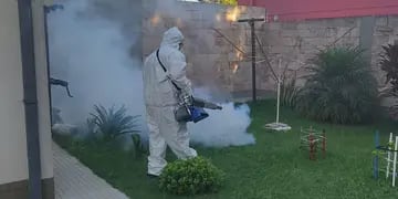 Fumigaciones por el caso de Dengue en Rafaela