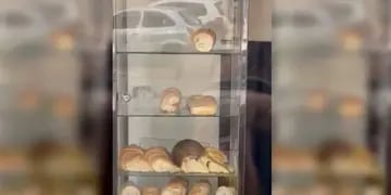 Filmaron a una rata mientras comía una medialuna en una panadería