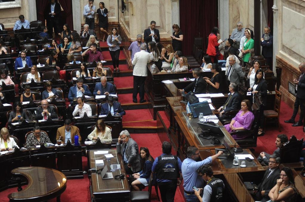 Sesión en Diputados para tratar la moratoria previsional - Foto: Federico López Claro
