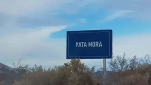 Pata Mora