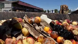 Desperdicio. Las frutas y verduras que se pierden en la cadena de abastecimiento. (Antonio Carrizo)