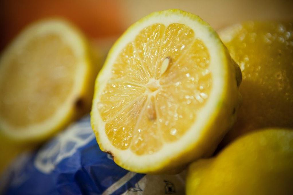 Limón para los sabañones (Imagen ilustrativa / Web)
