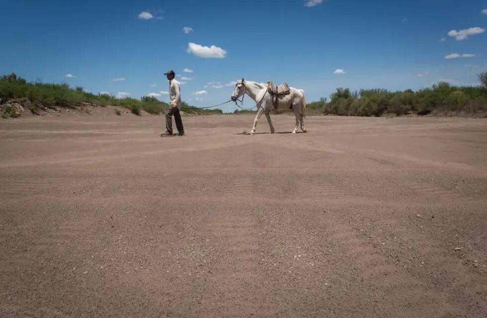 Sequía: golpea fuerte al sector caprinero de Mendoza. Foto: Ignacio Blanco / Los Andes
