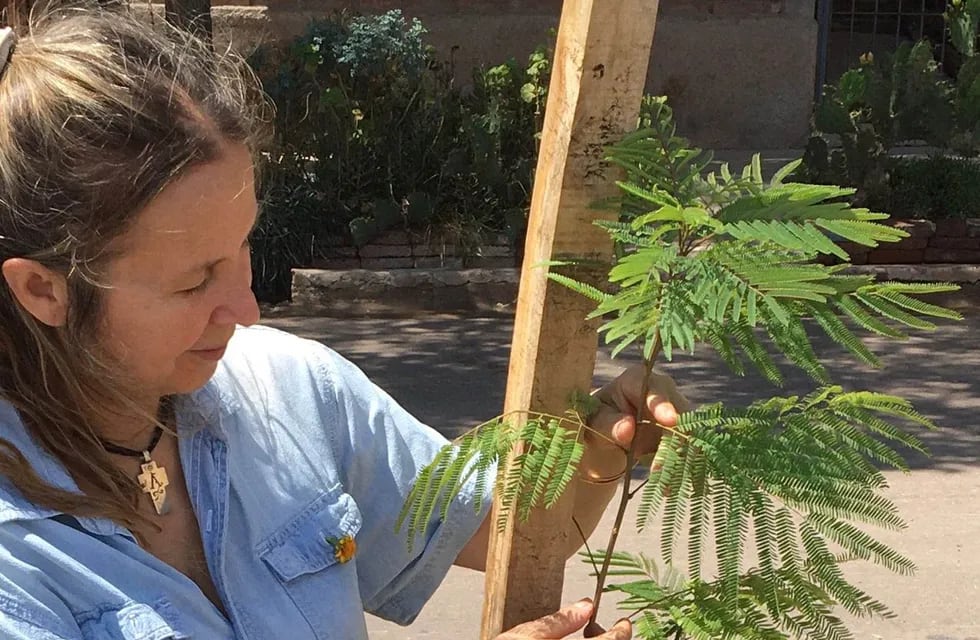 Patricia Girotti planta planta árboles por amor a la naturaleza inspirada por su hija Azul.