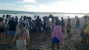 Se metió en una playa pública con un caballo