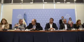 plenario comisiones diputados compre argentino