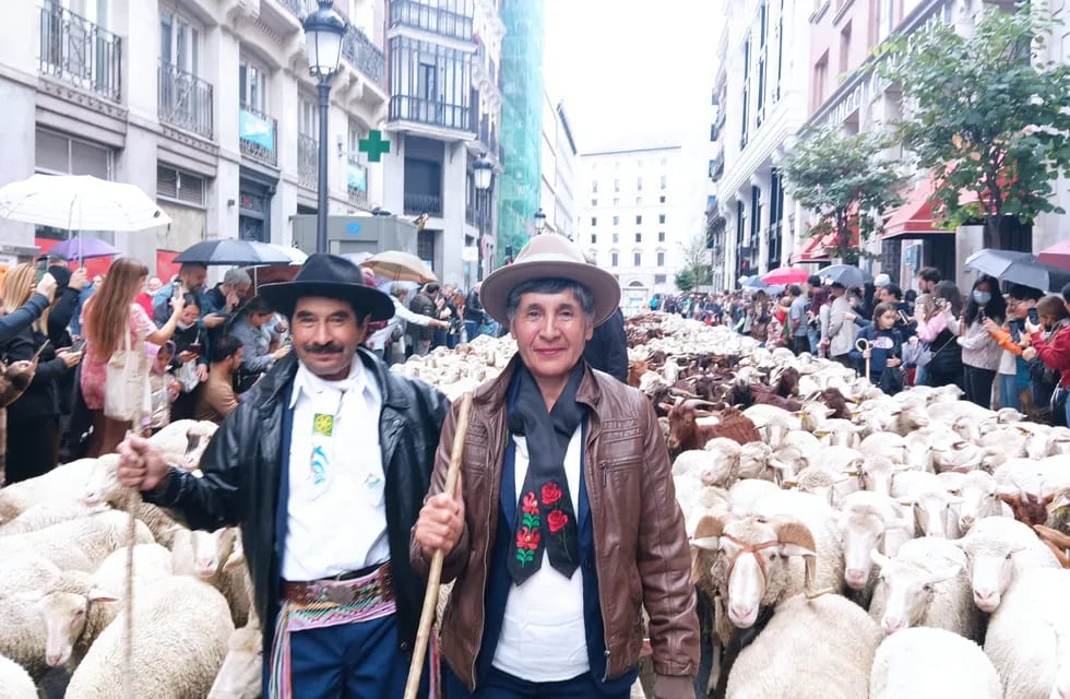 Eliseo Parada y su esposa Juana ingresando a la ciudad de Madrid acompañando a Suso y sus ovejas