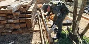 Secuestraron más de 2 toneladas de marihuana en el interior de falsas vigas de madera en Misiones
