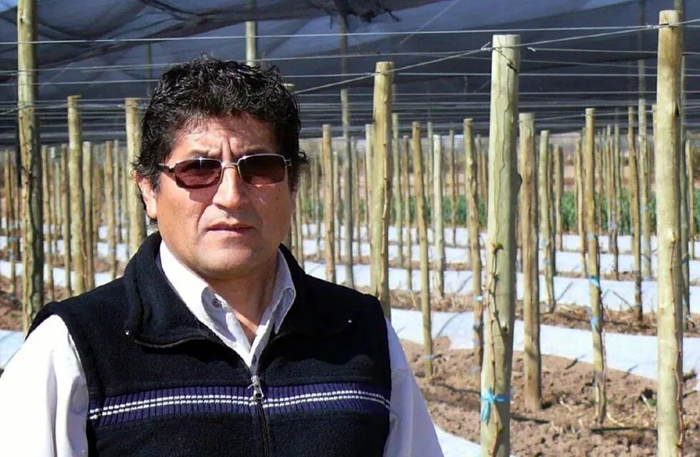 Pascual Arce: “El negocio del melón puede complicarse esta temporada”
