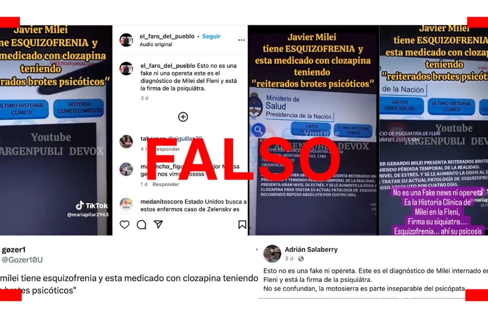 Es falso el video que muestra la historia clínica de Javier Milei en una web del Ministerio de Salud. Imagen: Reverso