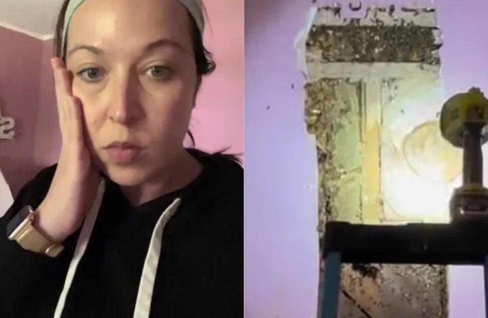 Ashley, una mujer oriunda de Carolina del Norte, decidió inspeccionar su casa tras el aviso de su hija y se llevó una desagradable sorpresa. Foto: Captura video
