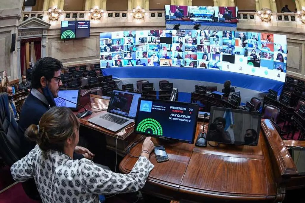 La Cámara de Diputados realizará por primera vez en su historia una sesión virtual  Federico López Claro / Corresponsalía