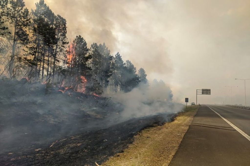 Declararon este la “emergencia ígnea en todo el territorio nacional” por un un año, en función del riesgo extremo de incendios de bosques y pastizales.