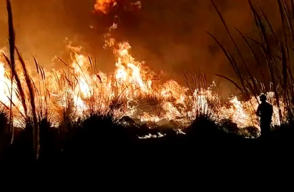 Incendio forestal en Luján