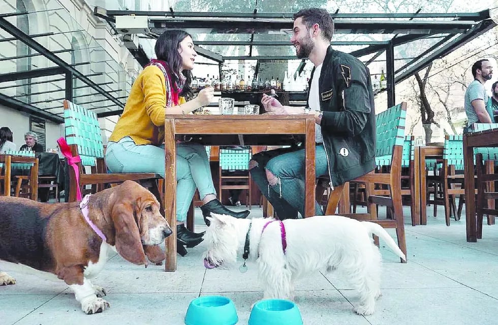 Onda ‘Pet Friendly’: el boom de llevar a tu perro a todos lados