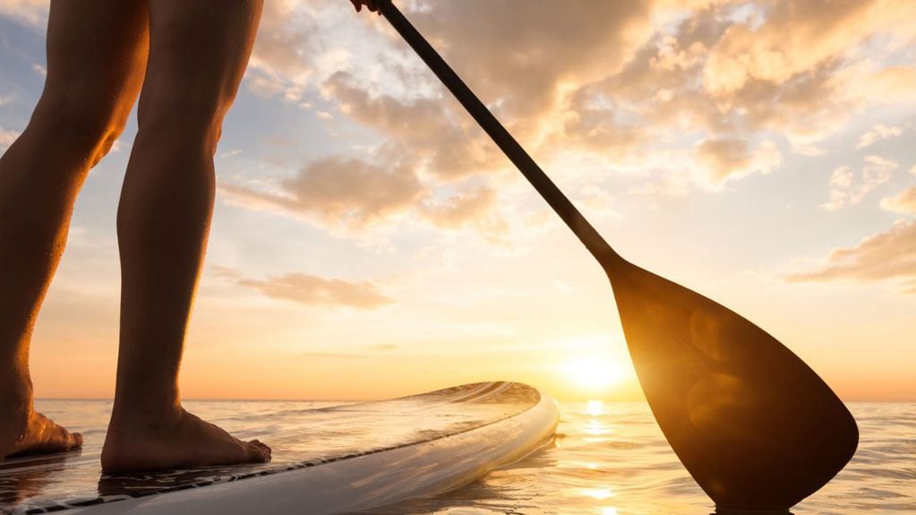 Una turista murió en las Bahamas luego de ser atacada por un tiburón mientras practicaba surf