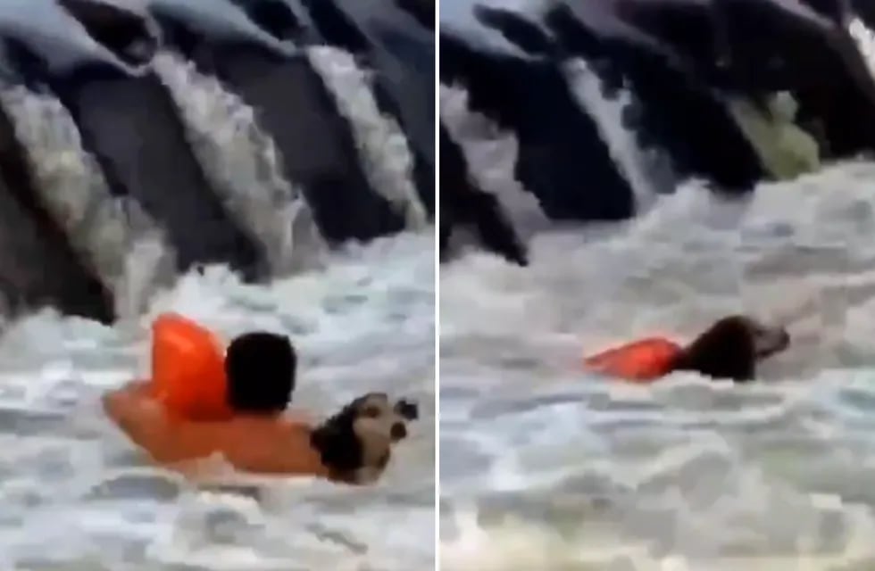 Dos hermanos salvavidas rescataron de un río a un perro que casi se ahoga por la crecida.