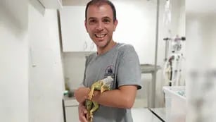 Lucas Troyano, el veterinario que salva la vida a animales exóticos