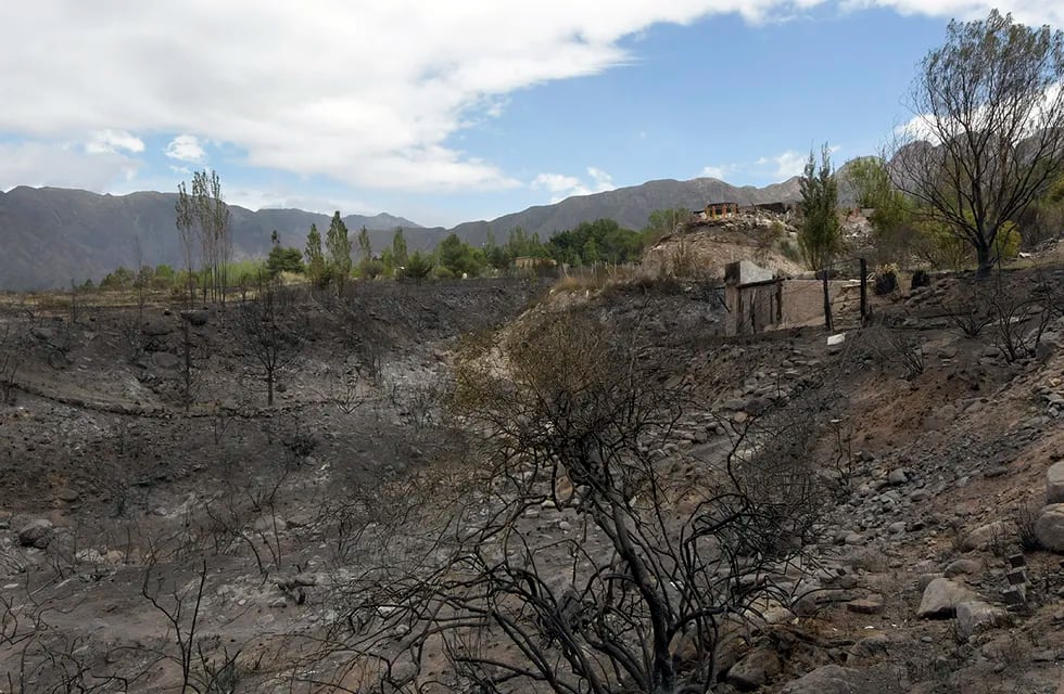 “Nos pareció un paisaje dantesco”, la descripción de un investigador en un primer recorrido por la zona del pedemonte incendiada
En la foto:  Portal Suizo

Foto: Orlando Pelichotti