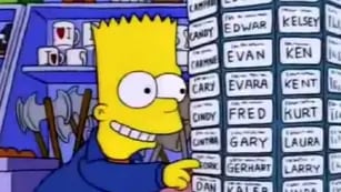 Bart Simpson busca la placa de Bort