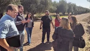 IG del aceite de oliva: funcionarios de Nación visitan Mendoza