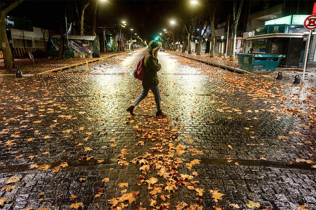 Las calles del la ciudad de Mendoza amanecieron con un colchón de hojas color ocre.
Foto: Ignacio Blanco / Los Andes