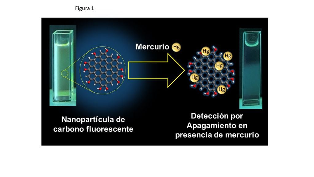 Figura 1: Cambio de color (apagamiento de la fluorescencia) en presencia de iones de mercurio tóxicos para la salud humana y animal.