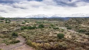El Gobierno tiene listo el proyecto para declarar área natural protegida a los cerros del Oeste del Gran Mendoza. Mariana Villa / Los Andes