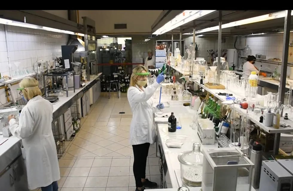 El Departamento Laboratorio General, la sede central ubicada en la provincia de Mendoza, es la principal infraestructura donde se analiza la mayor cantidad de productos vínicos.