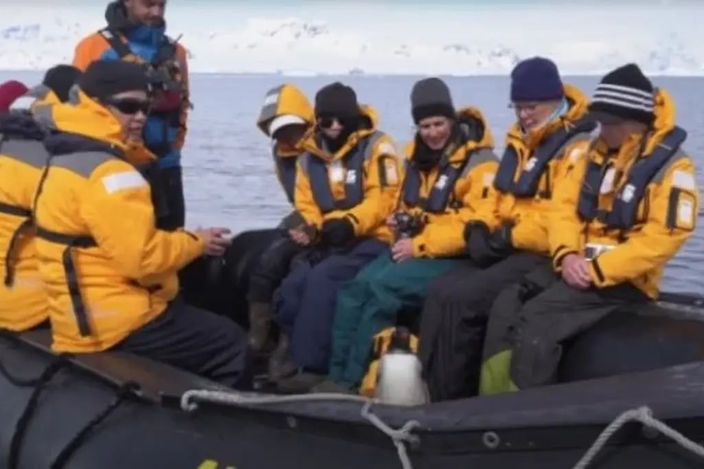 Pingüino saltó a un bote de turistas