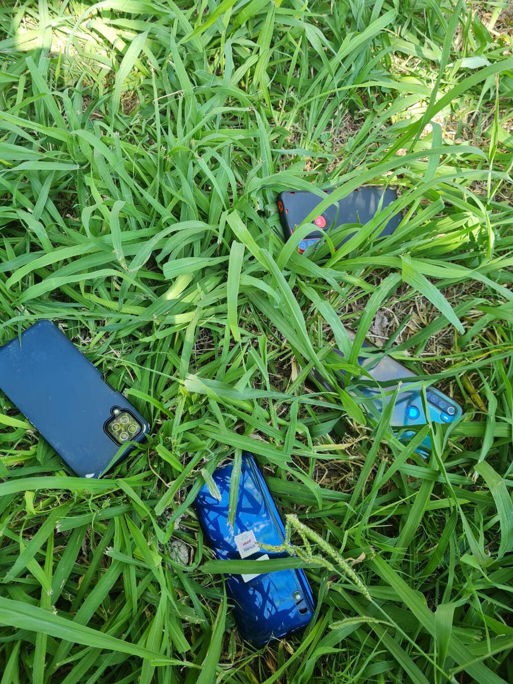 Los celulares robados.