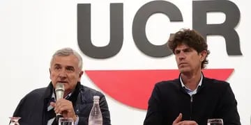 La UCR decidió no apoyar ningún candidato en el balotaje e hicieron duras críticas a Patricia Bullrich y a Macri.