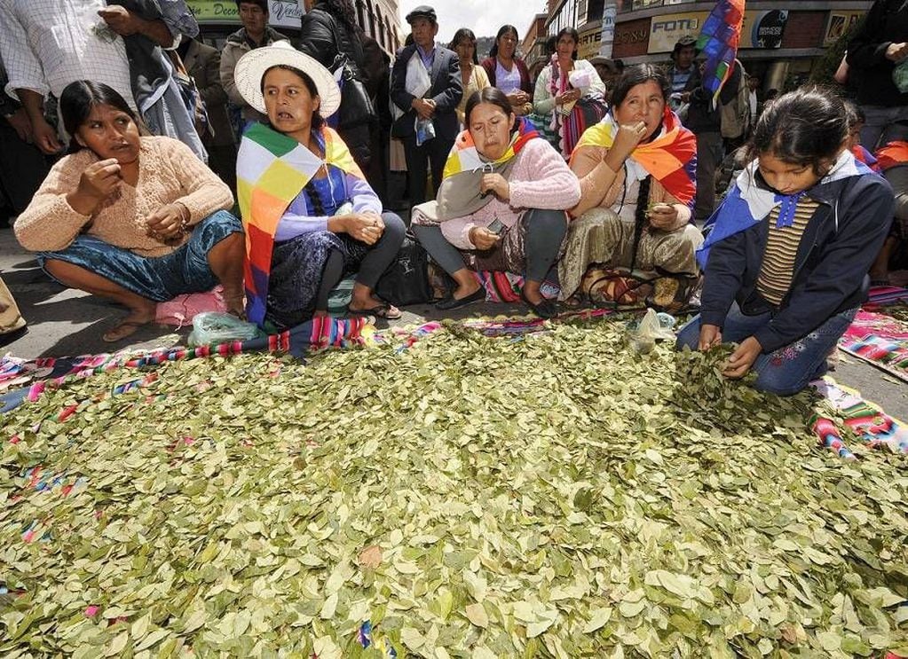 El Papa pidió mascar hojas de coca en Bolivia y el Vaticano lo autorizó 