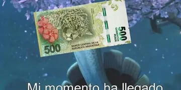 El dólar blue superó los 500 pesos argentinos y las redes se llenaron de memes