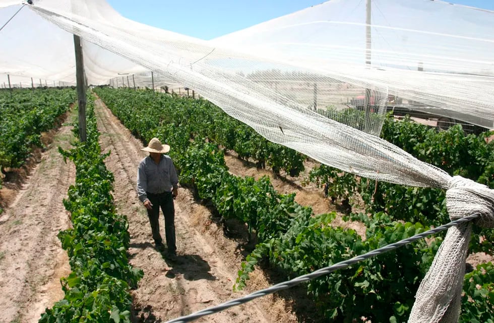 Esta semana se espera un alivio en las temperaturas y las contingencias climáticas en Mendoza. - Foto: Archivo / Los Andes