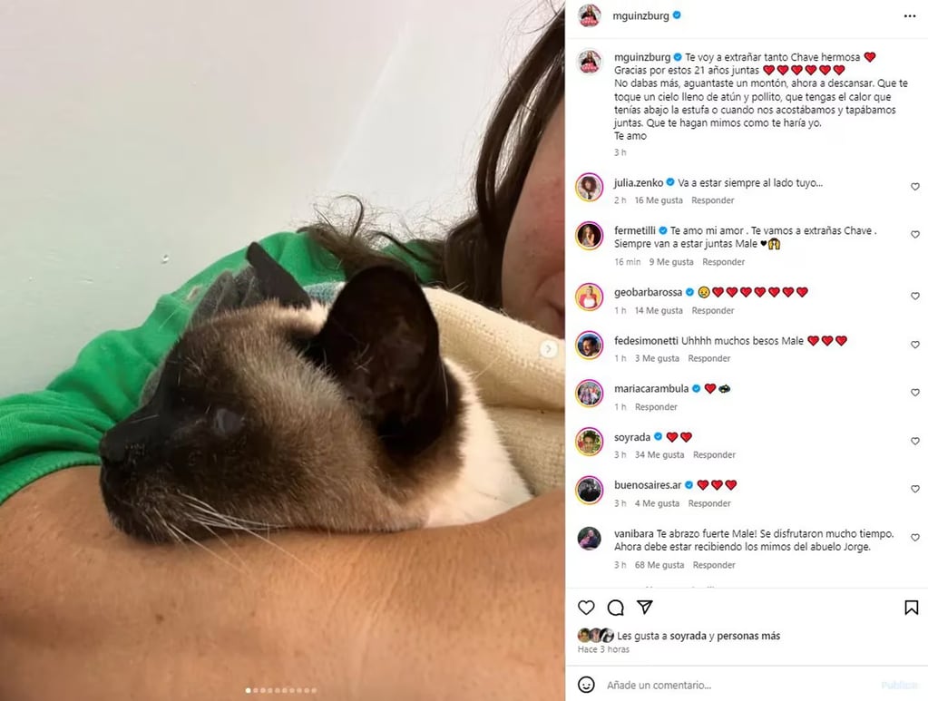 Malena Guinzburg despidió a su gata, Chavela. Gentileza: Captura Instagram @mguinzburg.
