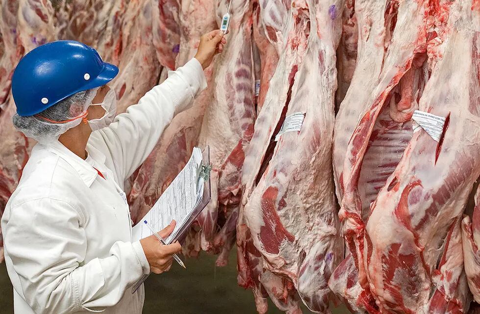 Se liberó la exportación de 7 cortes populares de carne.