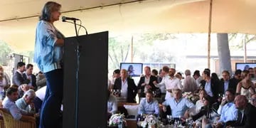Con fuertes críticas a la nueva conducción de la Coviar, los dirigentes de Bodegas de Argentina proponen crear una Mesa de Enlace.